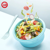BJ-653 圆形可折叠折叠食物储存容器带盖碗